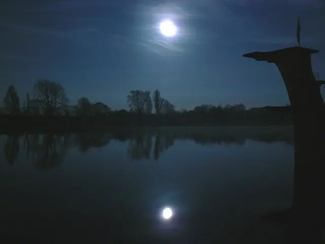 A moon reflected on quiet water beside a dark shoreline.
